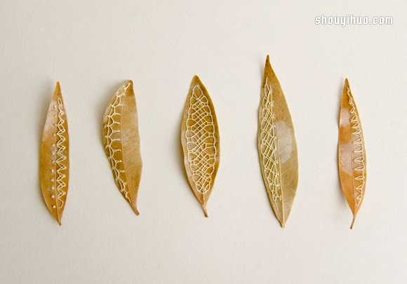 落葉上的美麗刺繡 下次路上不妨拾起一片落葉帶回家 -  rpnrmr.com