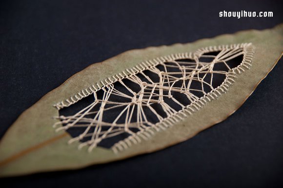 落葉上的美麗刺繡 下次路上不妨拾起一片落葉帶回家 -  rpnrmr.com