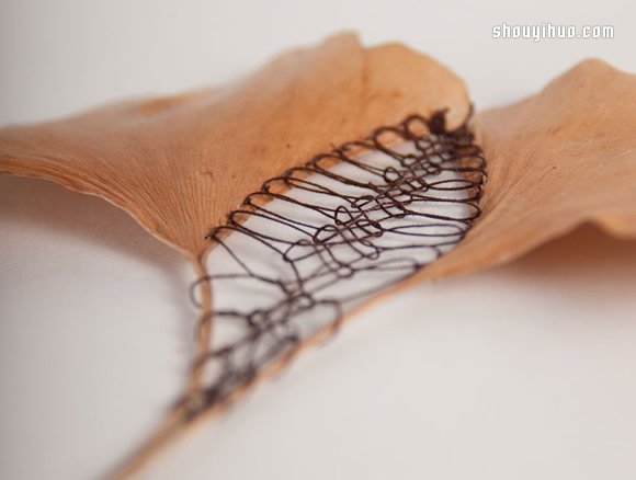 落葉上的美麗刺繡 下次路上不妨拾起一片落葉帶回家 -  rpnrmr.com