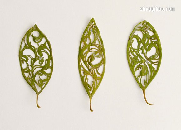 落葉上的美麗刺繡 下次路上不妨拾起一片落葉帶回家 -  rpnrmr.com