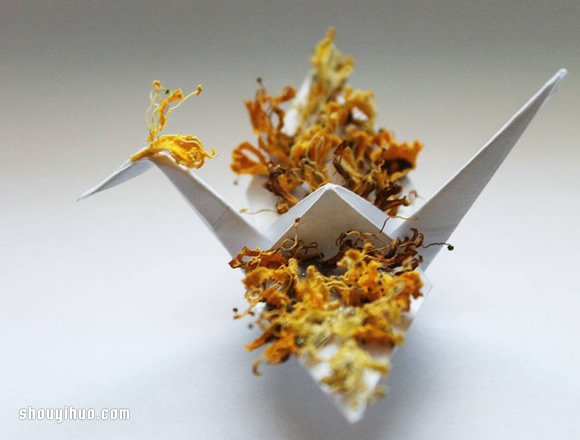 紙鶴的365種樣貌 藝術(shù)家的一日一紙鶴折紙計(jì)劃 -  rpnrmr.com