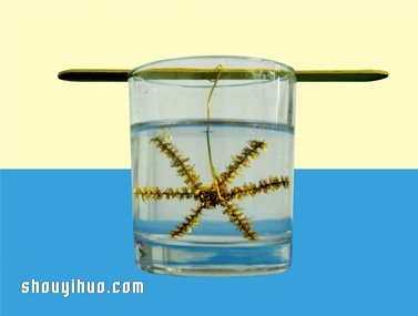 化學(xué)小實(shí)驗(yàn)：用硼砂讓雪花提前降臨 -  rpnrmr.com