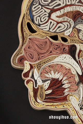 餐巾紙DIY制作栩栩如生的人體解剖圖衍紙畫作品 -  rpnrmr.com