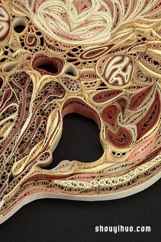 餐巾紙DIY制作栩栩如生的人體解剖圖衍紙畫作品 -  rpnrmr.com