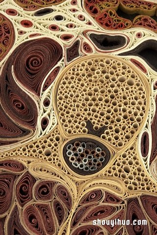 餐巾紙DIY制作栩栩如生的人體解剖圖衍紙畫作品 -  rpnrmr.com
