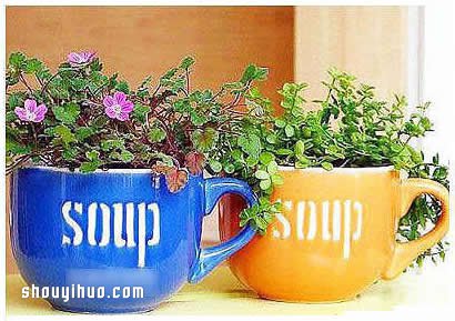 破損的茶杯廢物利用 DIY制作文藝范兒花盆 -  rpnrmr.com