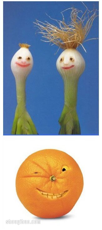 水果蔬菜DIY大作戰(zhàn) 誕生于廚房間的手工藝術(shù) -  rpnrmr.com