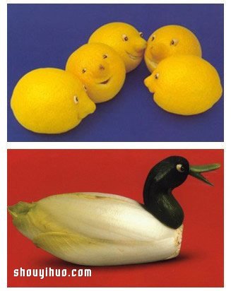 水果蔬菜DIY大作戰(zhàn) 誕生于廚房間的手工藝術(shù) -  rpnrmr.com