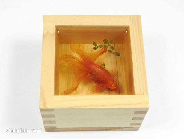 可憐小金魚被透明樹脂封存？別哭，你再仔細(xì)看 -  rpnrmr.com