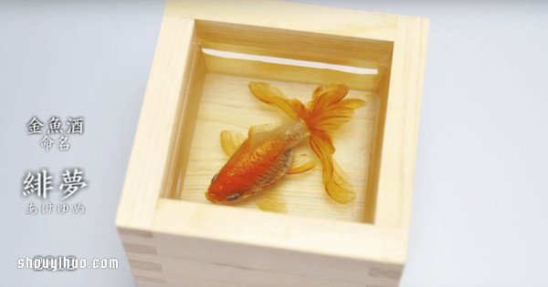 可憐小金魚被透明樹脂封存？別哭，你再仔細(xì)看 -  rpnrmr.com