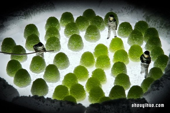 微距攝影：發(fā)現(xiàn)平常小物中蘊(yùn)藏得深而又深的故事 -  rpnrmr.com