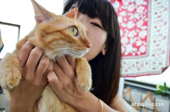 森林系花藝飾品工作室：DOOORS干燥花果手作 -  rpnrmr.com
