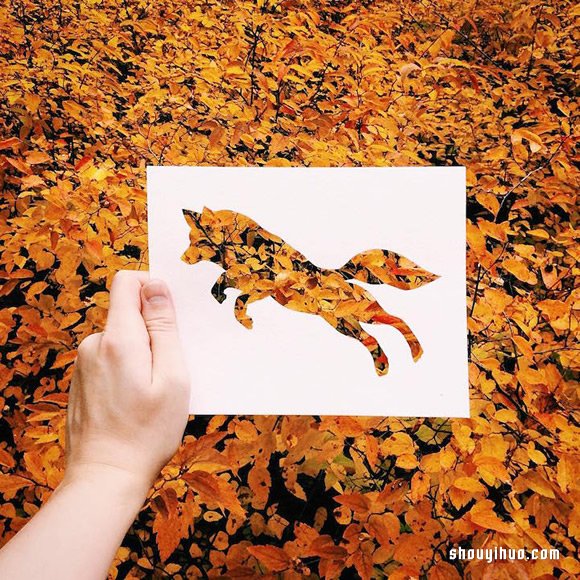 創(chuàng)意DIY：用最自然的色彩幫動(dòng)物們換上新裝 -  rpnrmr.com