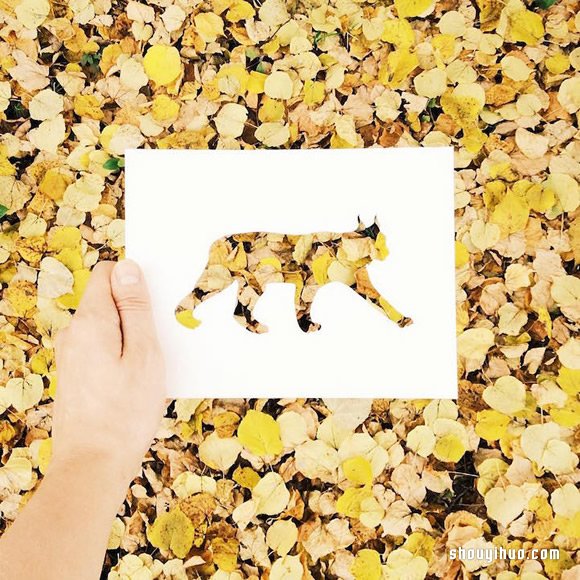 創(chuàng)意DIY：用最自然的色彩幫動(dòng)物們換上新裝 -  rpnrmr.com