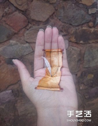 養(yǎng)在手掌心的迷你動物 卻原來是3D立體畫作品 -  rpnrmr.com
