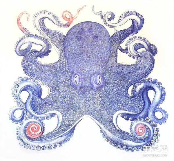 耗時(shí)一年，用圓珠筆畫出寫實(shí)霸氣的巨型章魚 -  rpnrmr.com