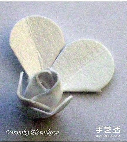 硬紙片折紙玫瑰花的方法 玫瑰花的折法步驟圖 -  rpnrmr.com