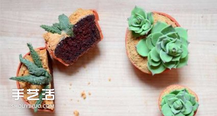 你以為這是多肉植物？其實(shí)這是一款美味蛋糕 -  rpnrmr.com