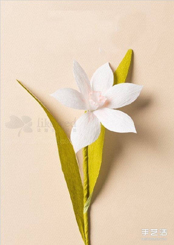 水仙花的折法圖解 折紙水仙花制作方法教程 -  rpnrmr.com