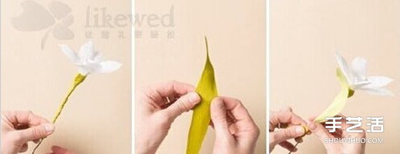 水仙花的折法圖解 折紙水仙花制作方法教程 -  rpnrmr.com