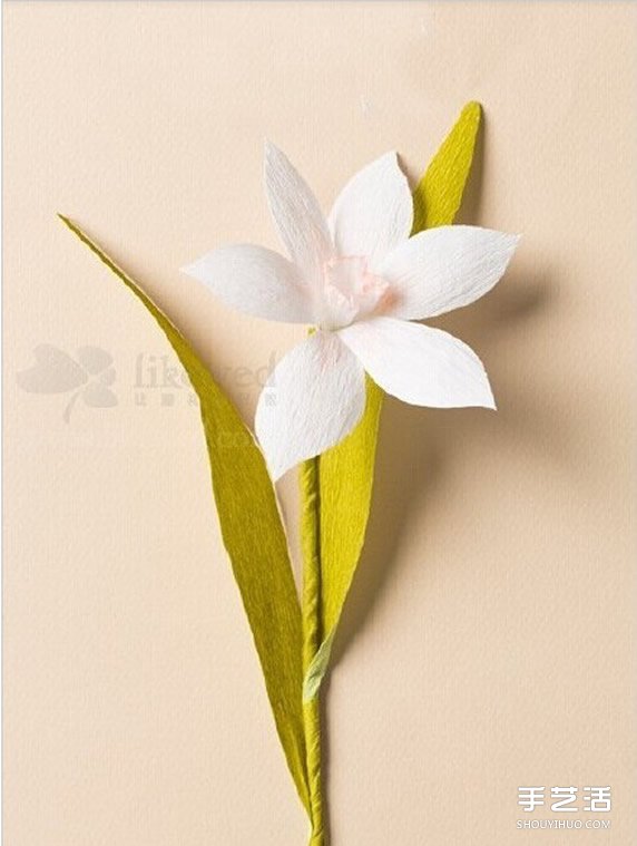 水仙花的折法圖解 折紙水仙花制作方法教程 -  rpnrmr.com