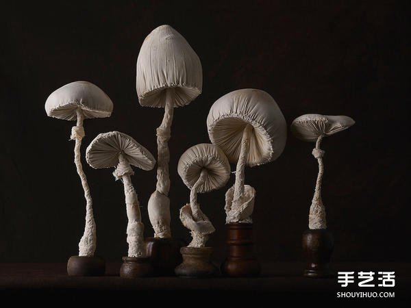 女工高手“雀鳥先生” 縫紉出森林系真菌布雕 -  rpnrmr.com