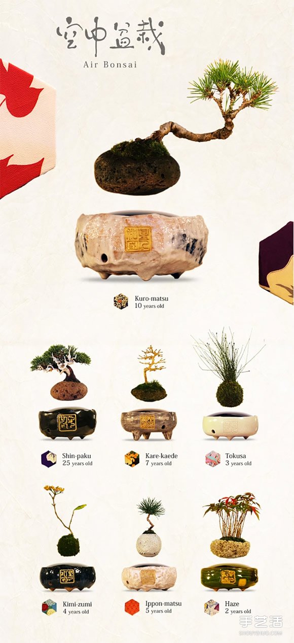 你肯定沒見過！AIR Bonsai 漂浮系日式盆景 -  rpnrmr.com