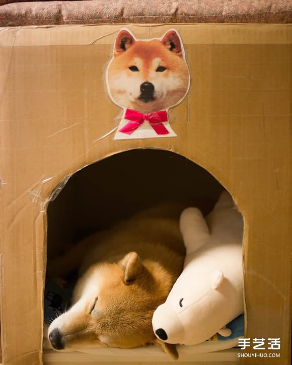 秋田犬跟它的白熊好朋友 同樣睡姿太可愛了！ -  rpnrmr.com