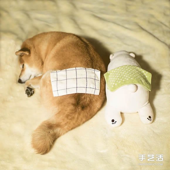 秋田犬跟它的白熊好朋友 同樣睡姿太可愛了！ -  rpnrmr.com