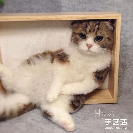 柔順毛皮+無辜眼神　這些小可愛全是羊毛氈？ -  rpnrmr.com