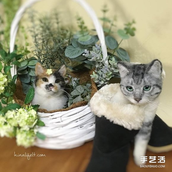 柔順毛皮+無辜眼神　這些小可愛全是羊毛氈？ -  rpnrmr.com