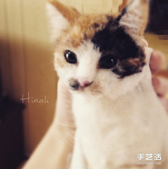 柔順毛皮+無辜眼神　這些小可愛全是羊毛氈？ -  rpnrmr.com