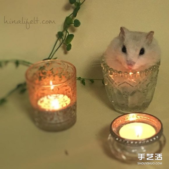 柔順毛皮+無辜眼神　這些小可愛全是羊毛氈？ -  rpnrmr.com