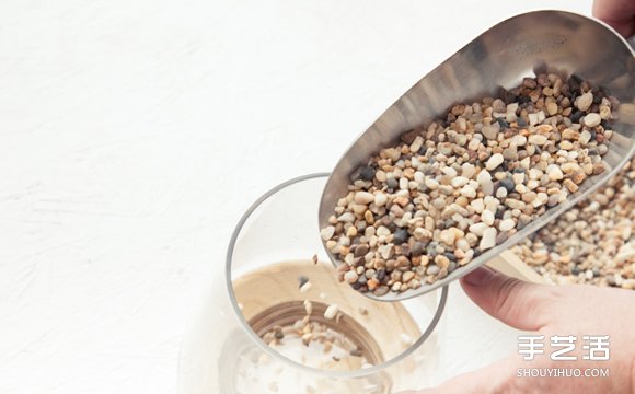 自制小清新多肉植物栽培罐的方法教程 -  rpnrmr.com