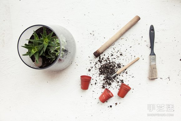 自制小清新多肉植物栽培罐的方法教程 -  rpnrmr.com