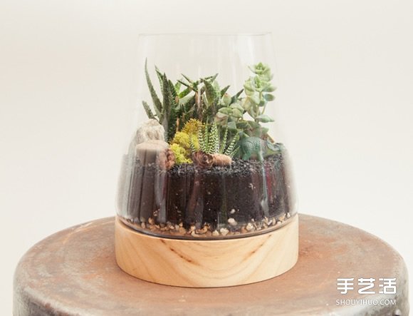 自制小清新多肉植物栽培罐的方法教程 -  rpnrmr.com