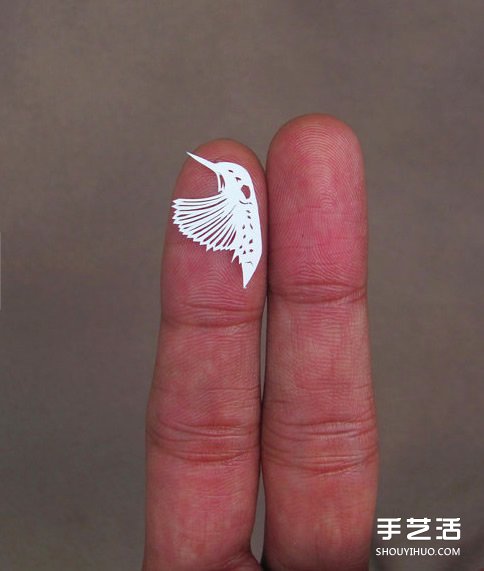 精致到令人驚嘆的剪紙藝術(shù) 連羽毛都能躍然紙上 -  rpnrmr.com
