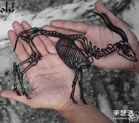 精致到令人驚嘆的剪紙藝術(shù) 連羽毛都能躍然紙上 -  rpnrmr.com