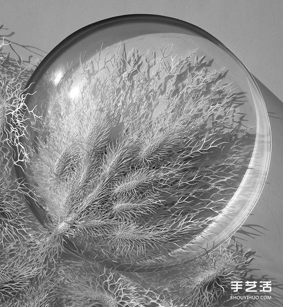以細(xì)菌、結(jié)晶等為靈感創(chuàng)作的立體紙雕作品 -  rpnrmr.com