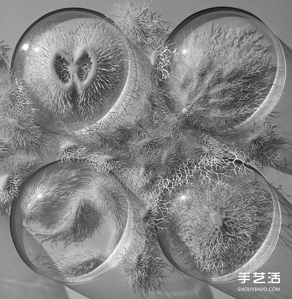 以細(xì)菌、結(jié)晶等為靈感創(chuàng)作的立體紙雕作品 -  rpnrmr.com