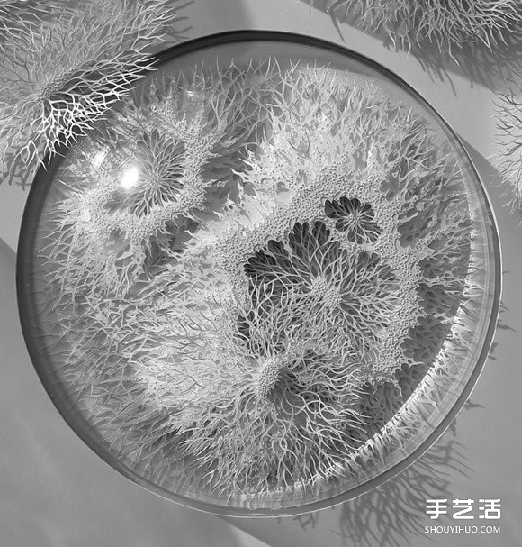 以細(xì)菌、結(jié)晶等為靈感創(chuàng)作的立體紙雕作品 -  rpnrmr.com