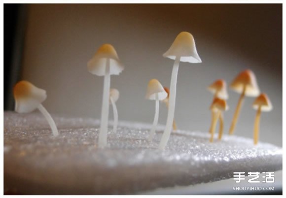 超輕粘土蘑菇手工制作教程 幾可以假亂真啦！ -  rpnrmr.com
