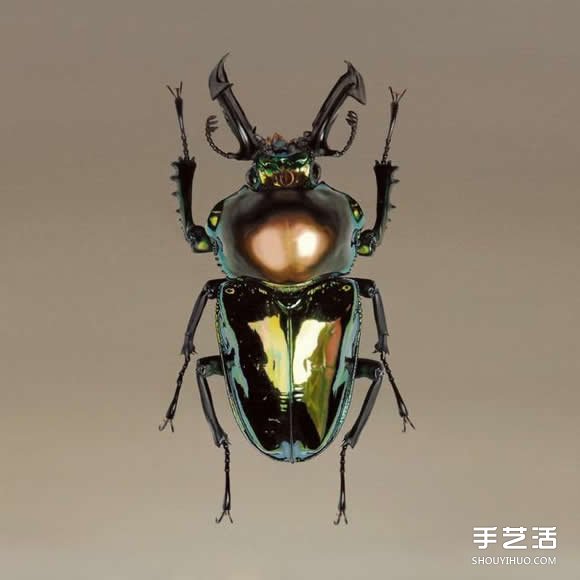 超越攝影的超現(xiàn)實動物畫 讓你重新認識繪畫魅力 -  rpnrmr.com