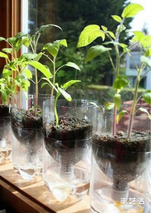 如何用塑料瓶制作花盆 廢舊塑料瓶DIY花盆圖解 -  rpnrmr.com