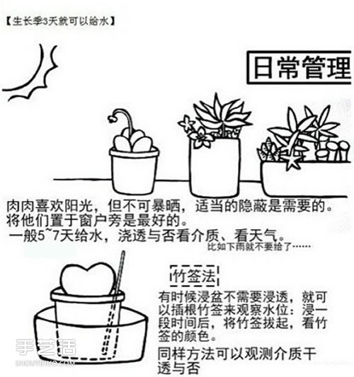 多肉植物怎么樣 多肉植物的養(yǎng)殖方法和注意事項(xiàng) -  rpnrmr.com