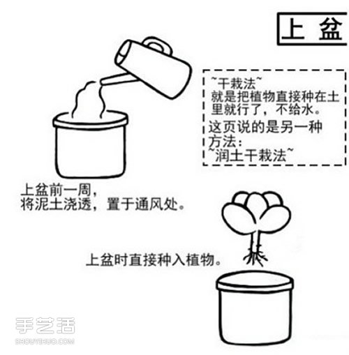 多肉植物怎么樣 多肉植物的養(yǎng)殖方法和注意事項(xiàng) -  rpnrmr.com