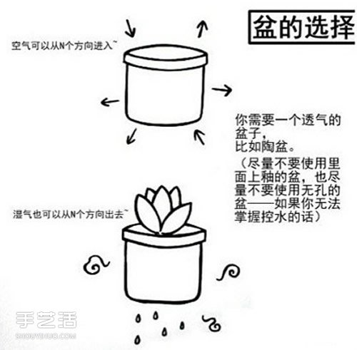 多肉植物怎么樣 多肉植物的養(yǎng)殖方法和注意事項(xiàng) -  rpnrmr.com
