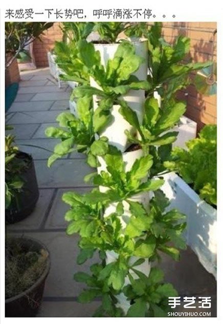 PVC管種菜設(shè)計(jì)圖 利用PVC管陽臺種菜的方法 -  rpnrmr.com