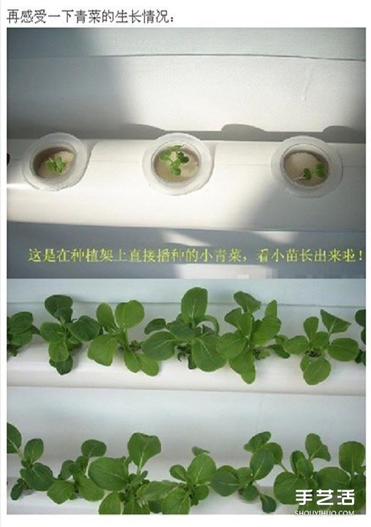 PVC管種菜設(shè)計(jì)圖 利用PVC管陽臺種菜的方法 -  rpnrmr.com