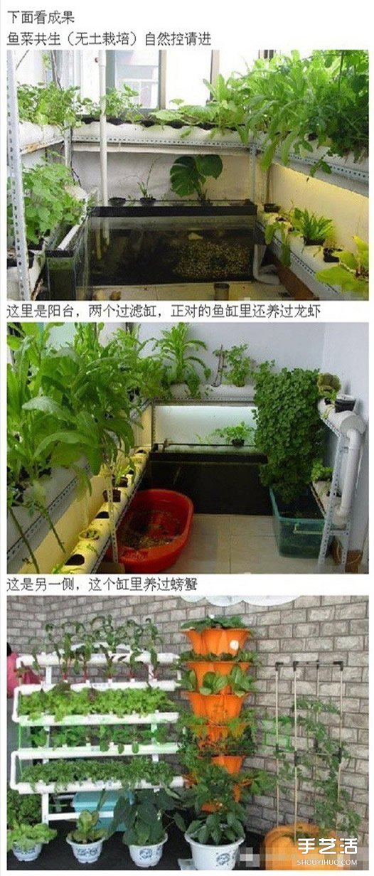 PVC管種菜設(shè)計(jì)圖 利用PVC管陽臺種菜的方法 -  rpnrmr.com